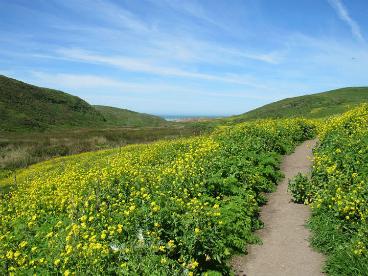 Point Reyes National Seashore